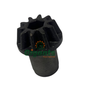 12090010 PINHAO - ALTERNATIVA SFIL